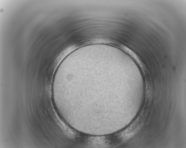 X0000087550810200705041326