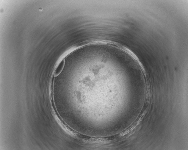 X0000087550811200705041326