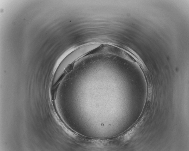 X0000087550812200705041326