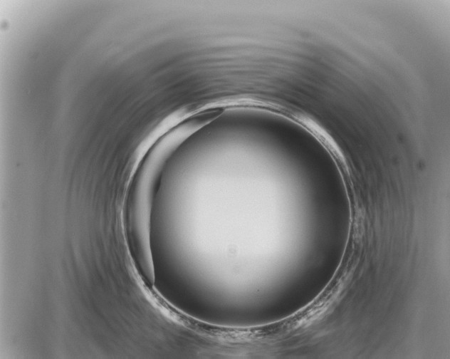 X0000087550813200705041326