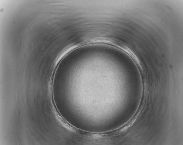 X0000087550814200705041326