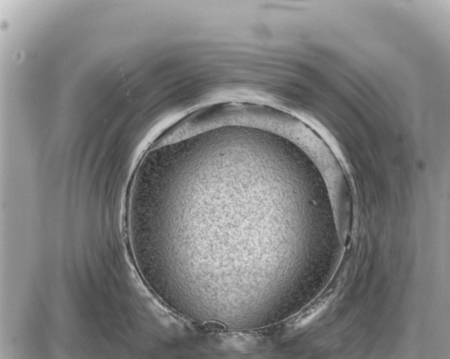 X0000087550815200705041326