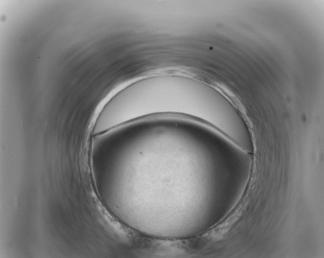 X0000087550816200705041326