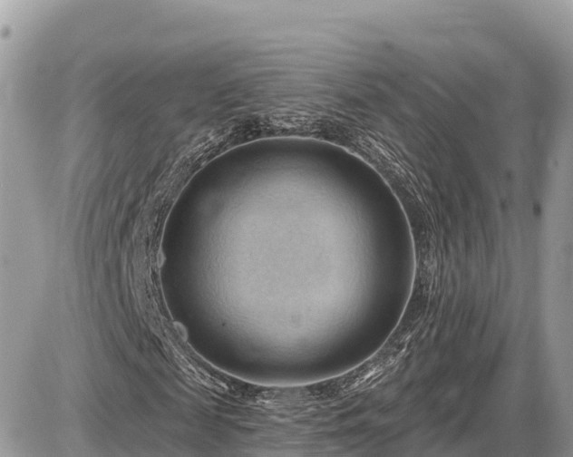 X0000087550817200705041325