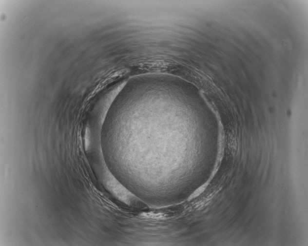 X0000087550818200705041325