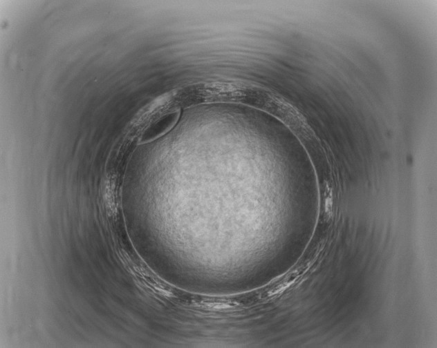 X0000087550819200705041325