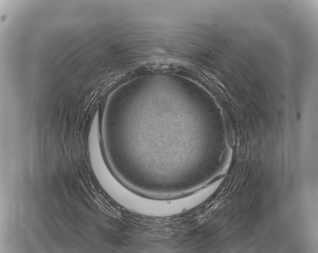 X0000087550820200705041325