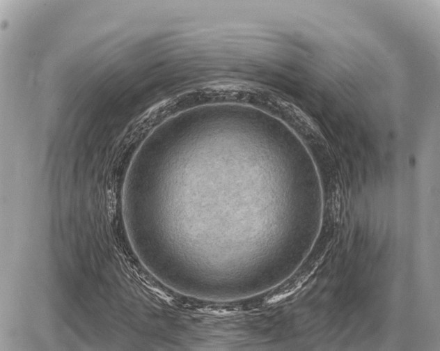 X0000087550821200705041325