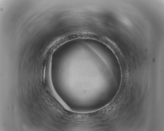 X0000087550823200705041325