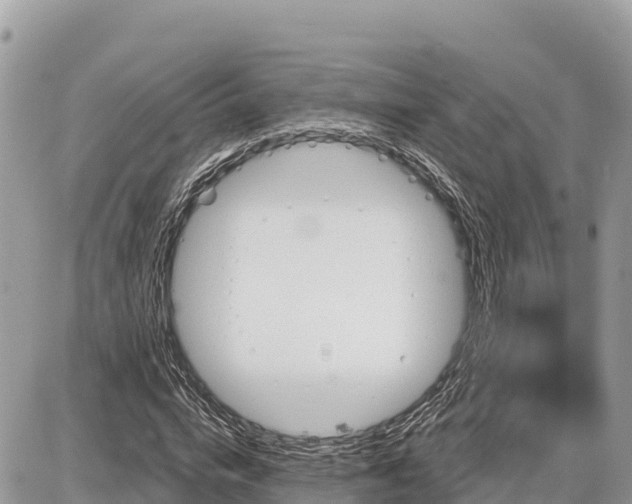 X0000087550824200705041325