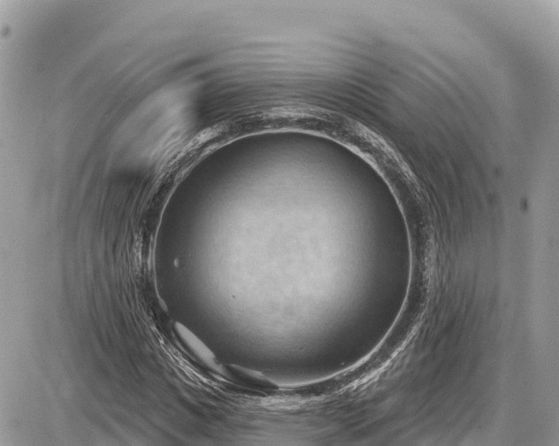 X0000087550825200705041325