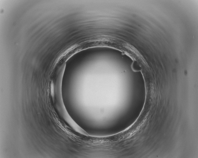 X0000087550826200705041325