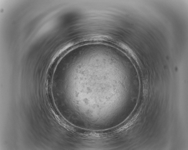 X0000087550827200705041326