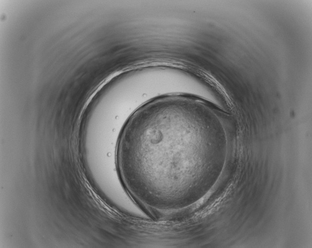 X0000087550828200705041326