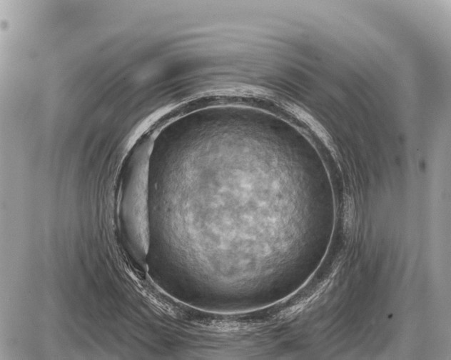 X0000087550829200705041326