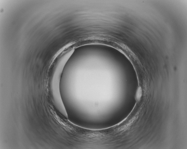 X0000087550830200705041326