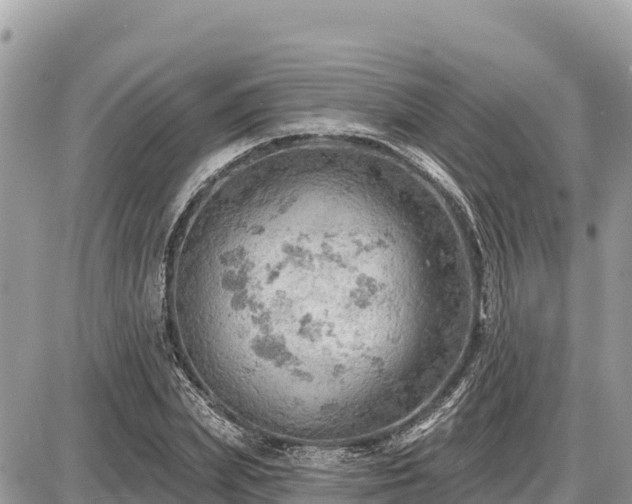 X0000087550831200705041326