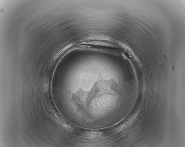 X0000087550833200705041326