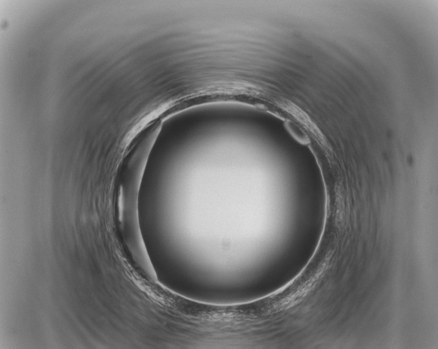 X0000087550834200705041326