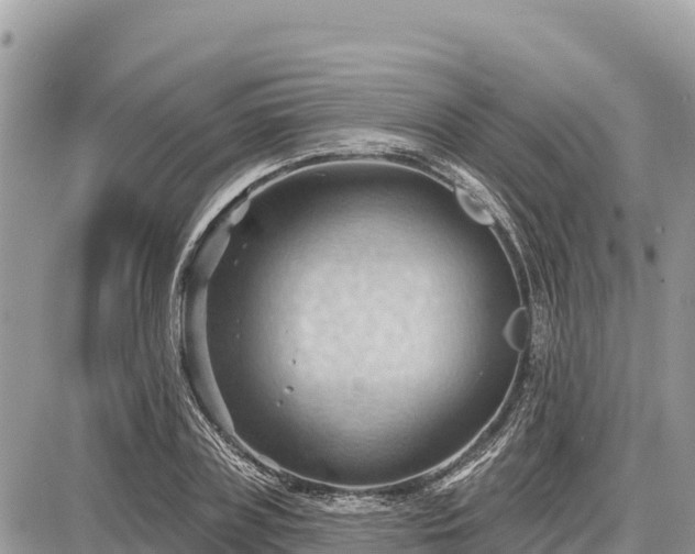 X0000087550835200705041326