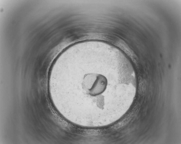 X0000087550836200705041326