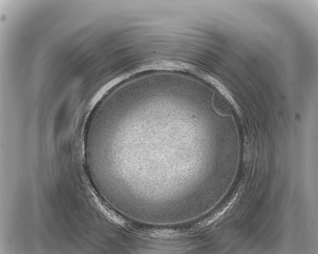 X0000087550837200705041326