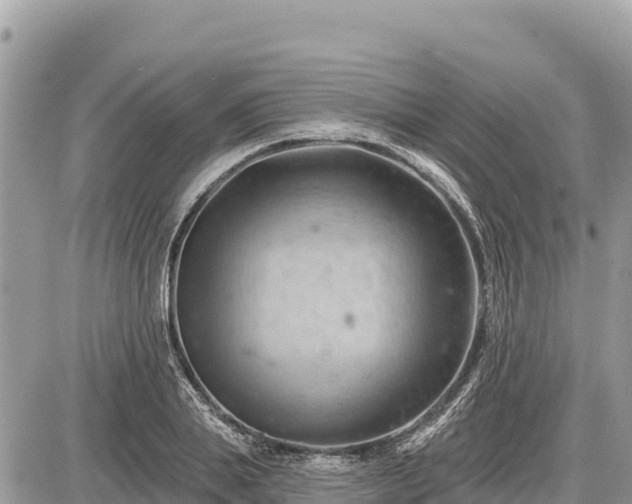 X0000087550839200705041326