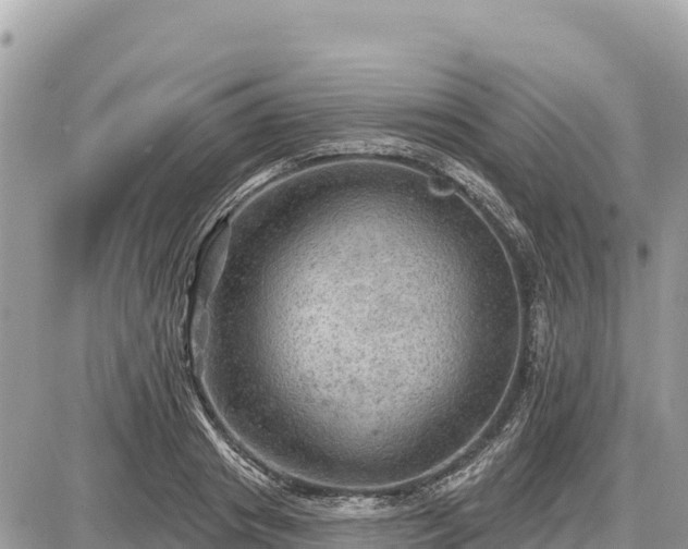 X0000087550841200705041326