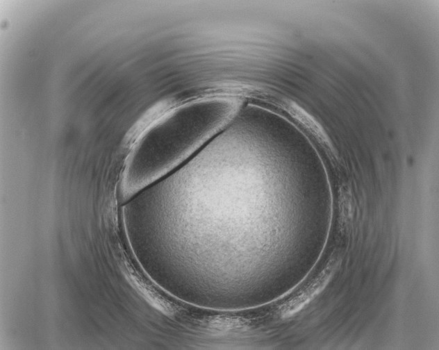 X0000087550842200705041326