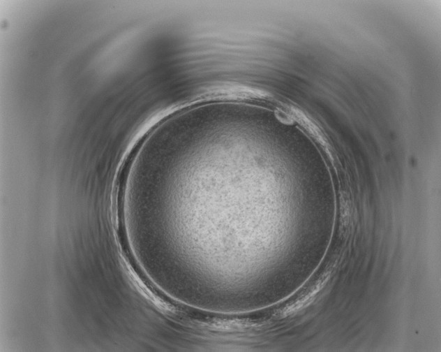 X0000087550843200705041326