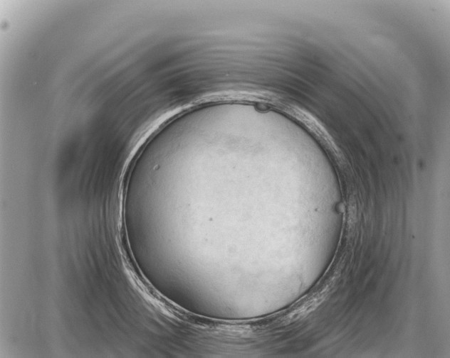 X0000087550844200705041326