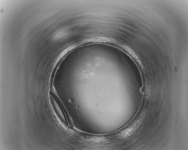 X0000087550845200705041326