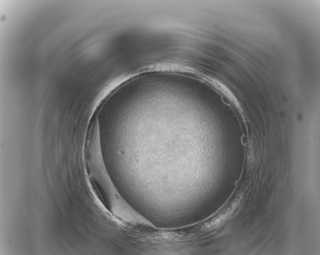 X0000087550847200705041326