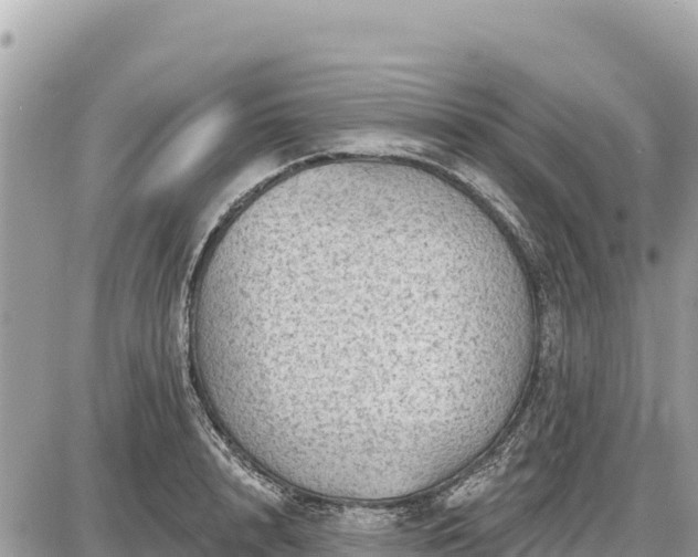 X0000087550848200705041326