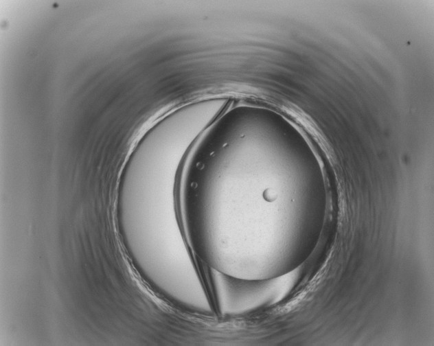 X0000087550850200705041326