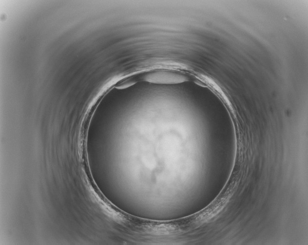 X0000087550851200705041326