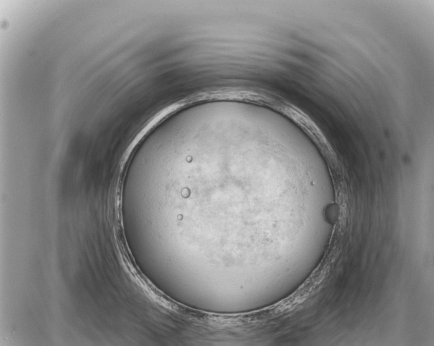 X0000087550852200705041326