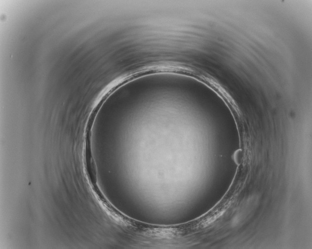 X0000087550853200705041326