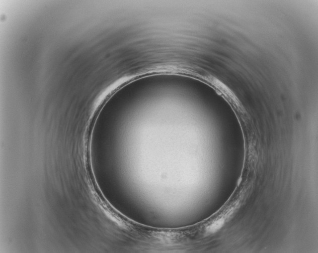 X0000087550854200705041326