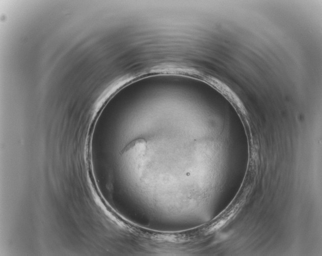 X0000087550855200705041326