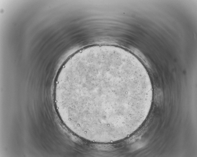 X0000087550856200705041326