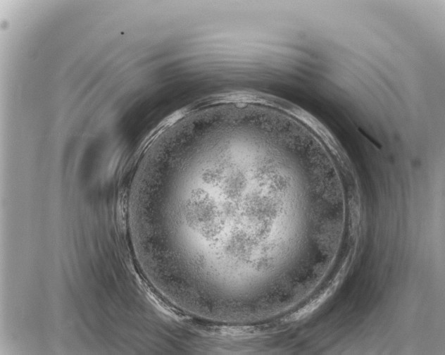 X0000087550857200705041326