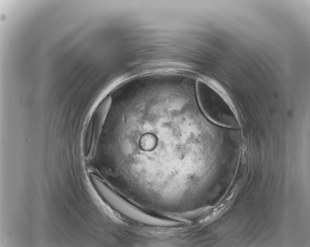 X0000087550859200705041326