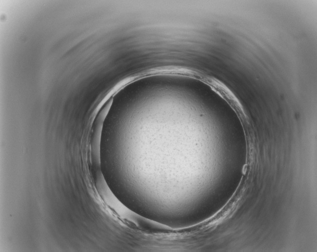 X0000087550860200705041326