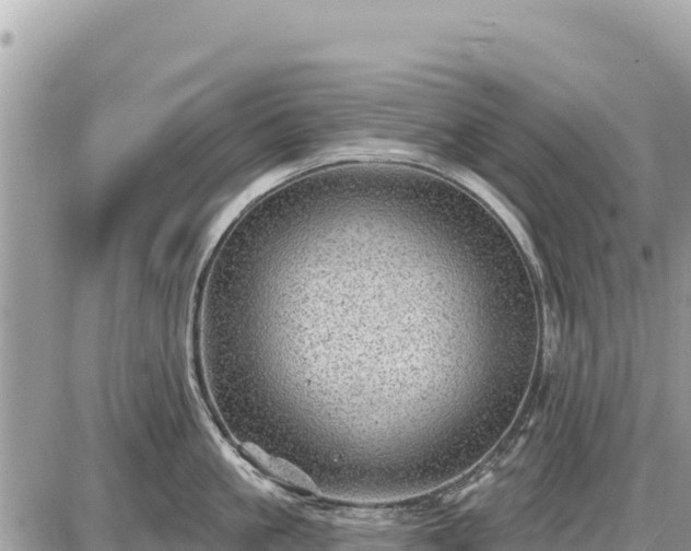 X0000087550861200705041326