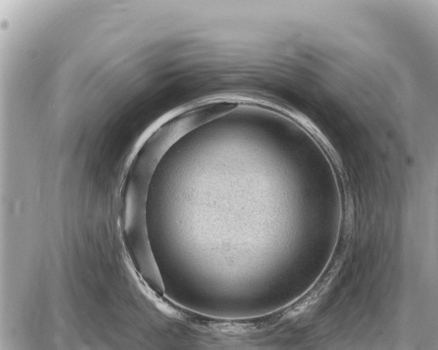 X0000087550862200705041326