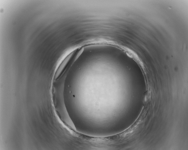 X0000087550863200705041326