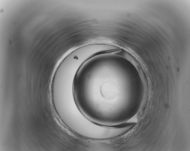 X0000087550864200705041326