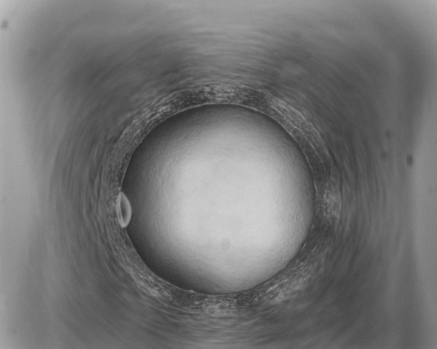 X0000087550865200705041325