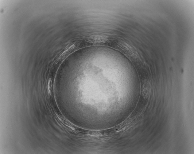 X0000087550866200705041325